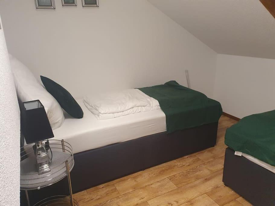 Waterfalls Apartment Triberg im Schwarzwald Екстер'єр фото
